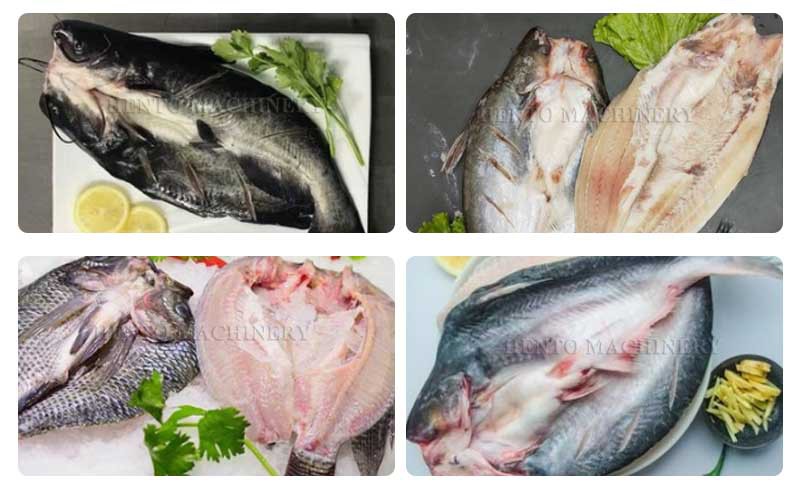 product-800-492 live fish gutting machine