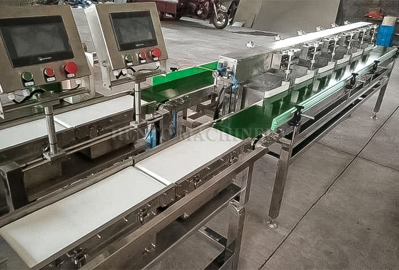 fish grading machine