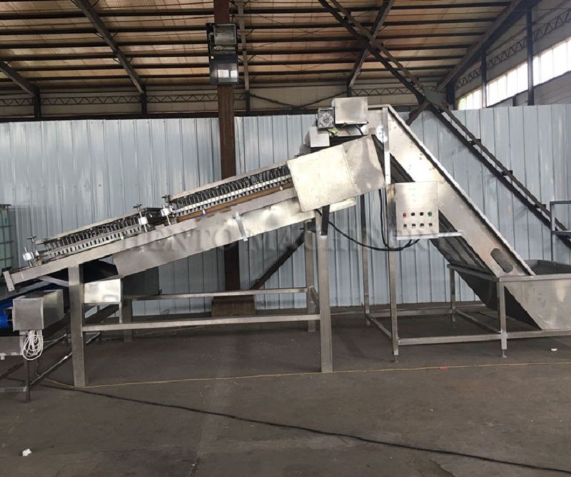 product-800-668 shrimp prawn peeler(001)