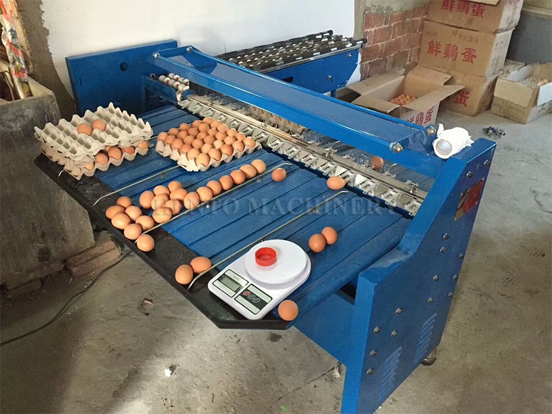 Egg Sorter