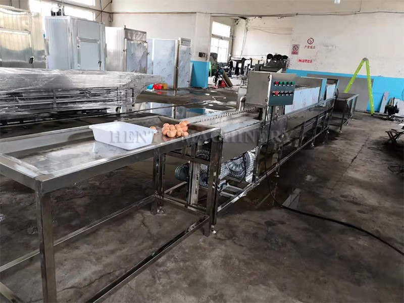 product-800-600 Egg Washing Processing Machine