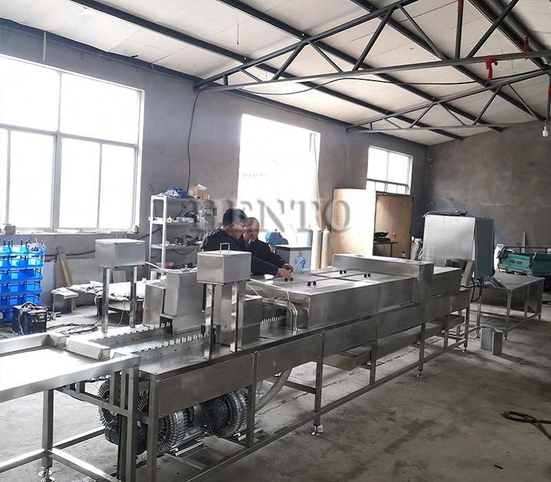 product-800-700 egg washer line(001)