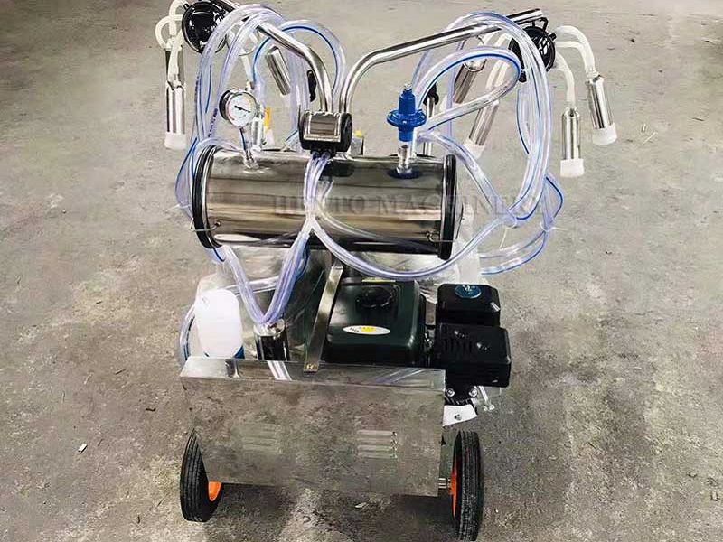 product-800-600 Milker for Cow(001)