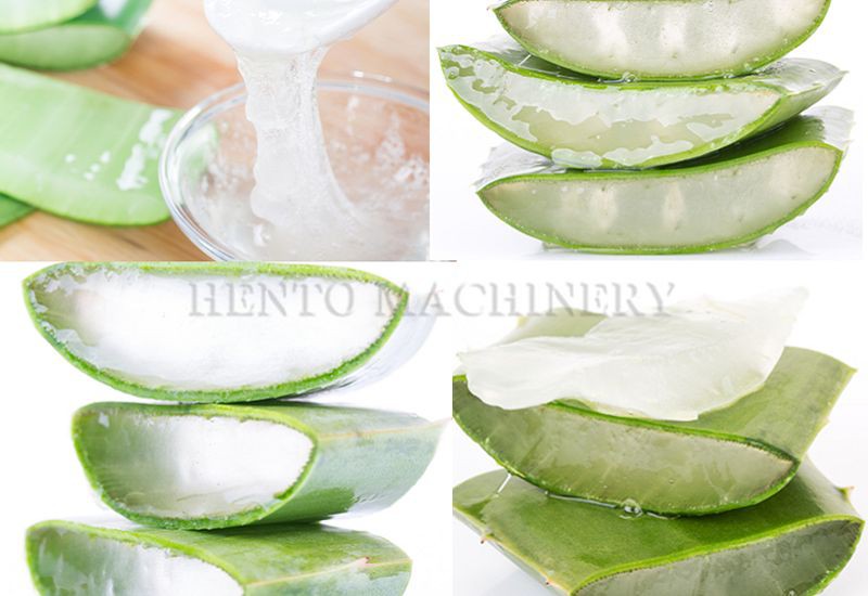 product-800-550 Aloe Vera Skin Peeler(001)