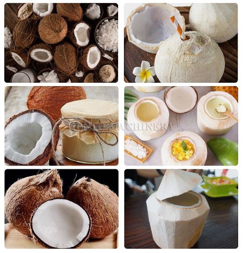 coconut sheller machine001 coconut sheller machine001