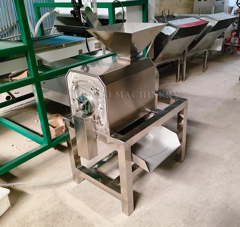 fruit and vegetables pulping machine