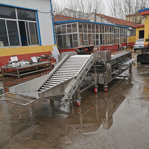 Electric Orange Sorting Machine001