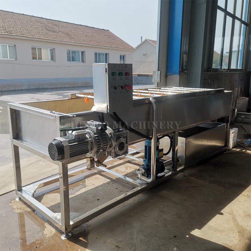 Electric Fruit Washing Machine