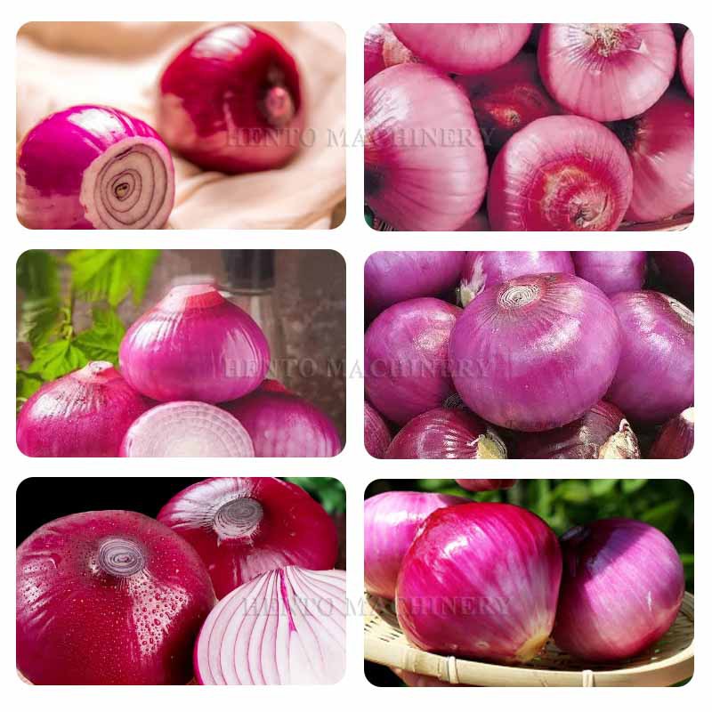 peeling machine for onions