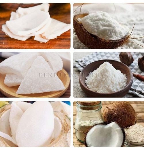 Electric Coconut Meat Grinder Machine001