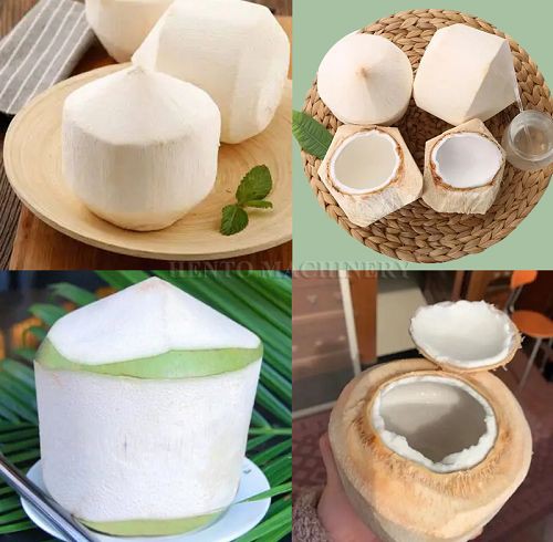 Coconut Top Cutter Coconut Top Cutter