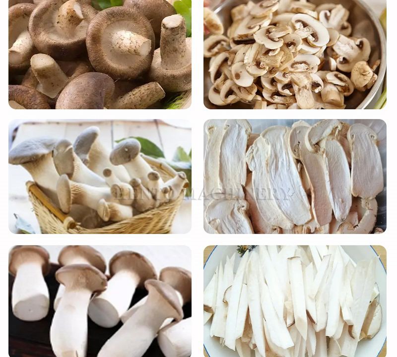 Mushroom Slicing Cutting Machine001