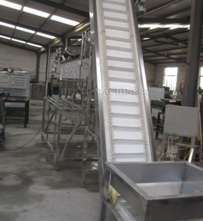 nut flavoring and roasting line001 nut flavoring and roasting line001