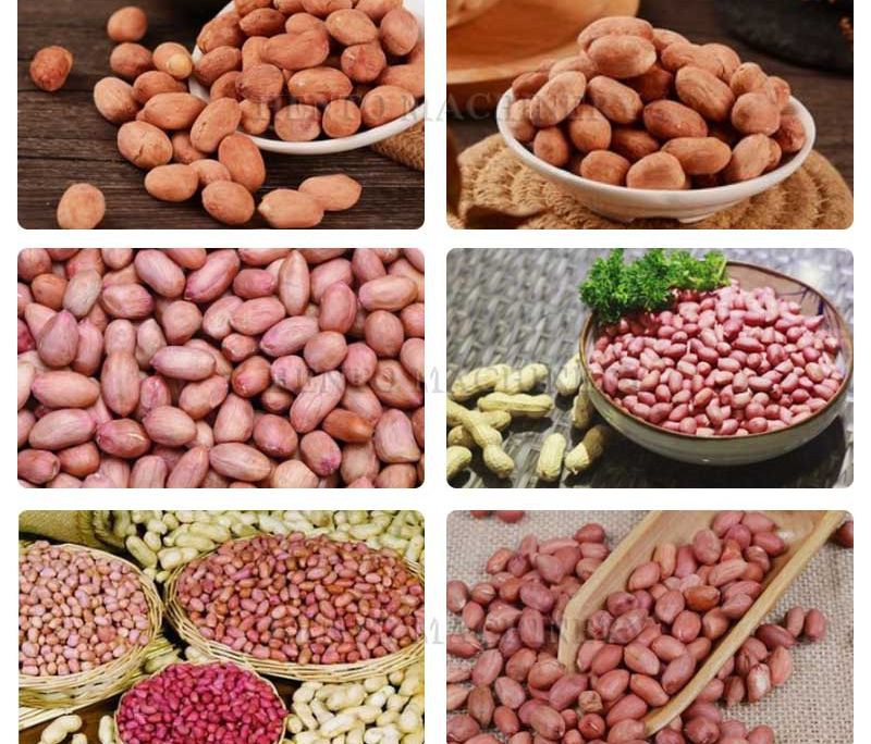 Peanut De-oiling Machine001 Peanut De-oiling Machine001