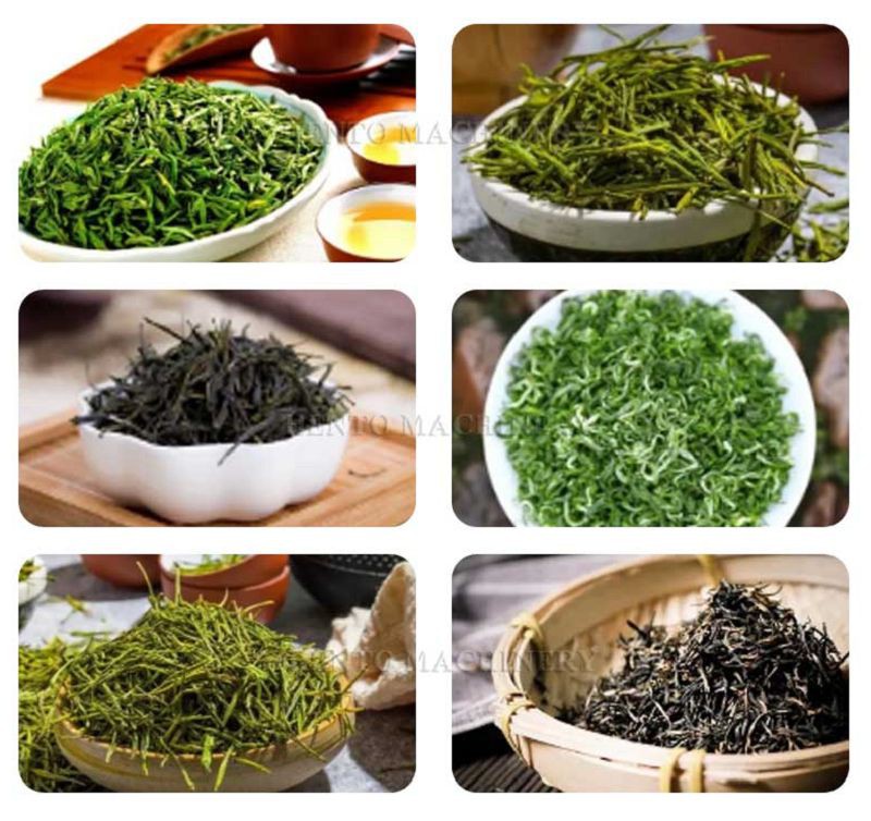 Electric Tea Kneading Machine001