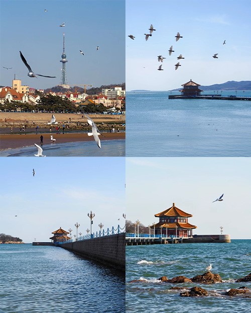 news-500-622 news-500-622