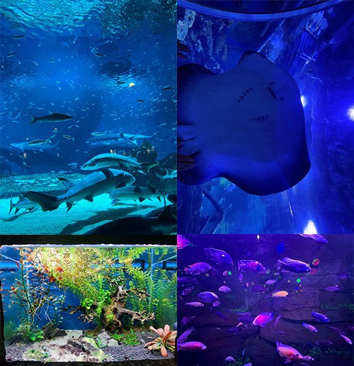 news-500-516 news-500-516