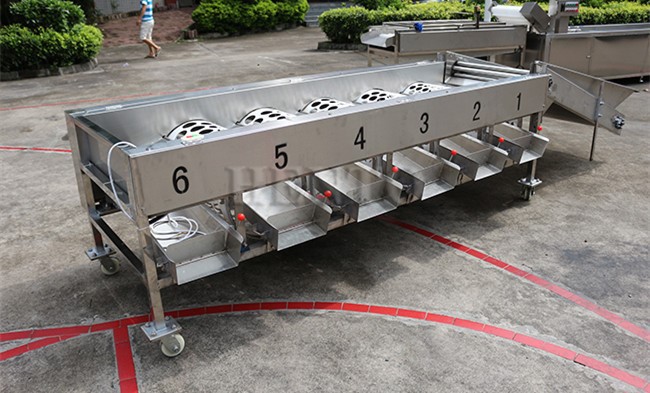 Drum Sorting Machine