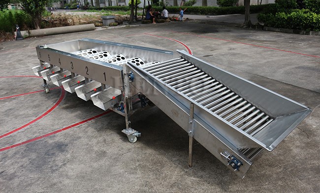 Industry Citrus Cleaning Sorting Machine Industry Citrus Cleaning Sorting Machine