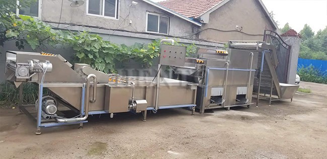 Washing Bean Sprout Machine