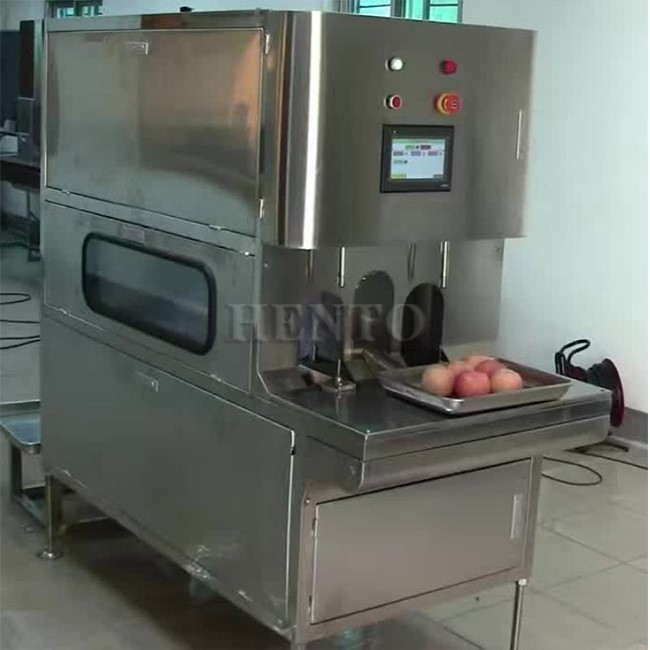 Pineapple Corer Slicer Peeler Cutter