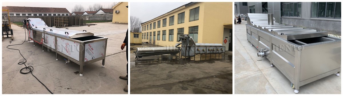 Carrot Potato Blanching Machine Carrot Potato Blanching Machine