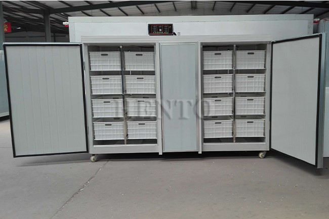 Bean Sprout Growing Equipment Bean Sprout Growing Equipment