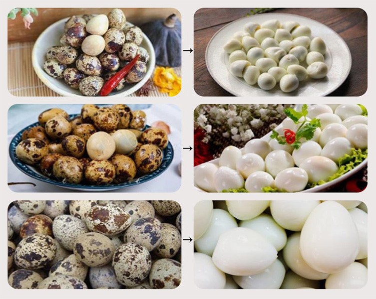 Boiled Quail Egg Shell Sheller
