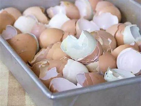 Electric Breaking Egg Machine Electric Breaking Egg Machine