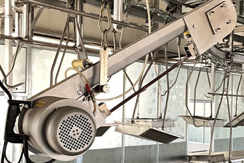 Pig Carcass Half Cutting Machine