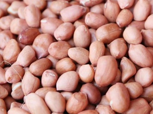 Peanut Seed Grading Machine