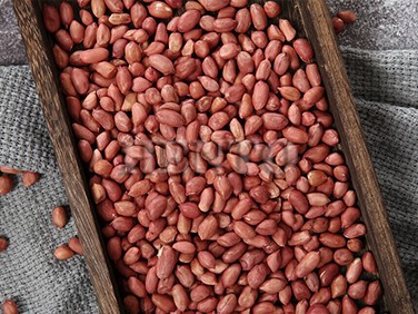 Peanut Color Sorter Peanut Color Sorter