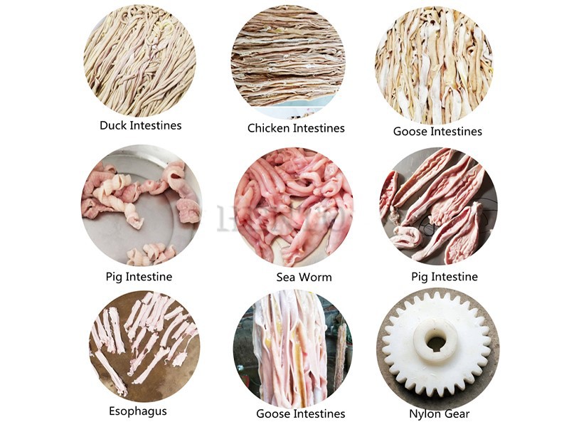 chicken intestine dissector machine