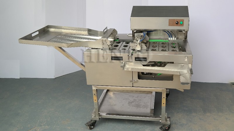 Electric Egg White and Yolk Separator