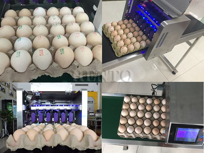 Egg Code Printing Machine