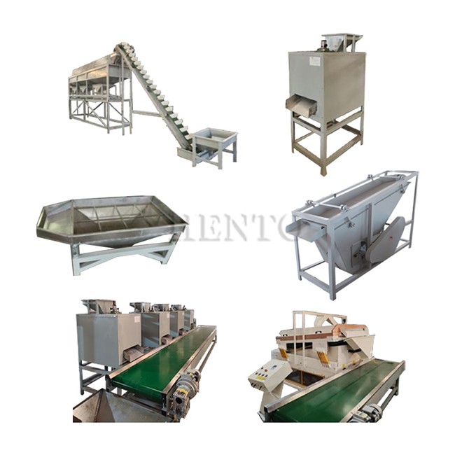Macadamia Nuts Shelling Production Line