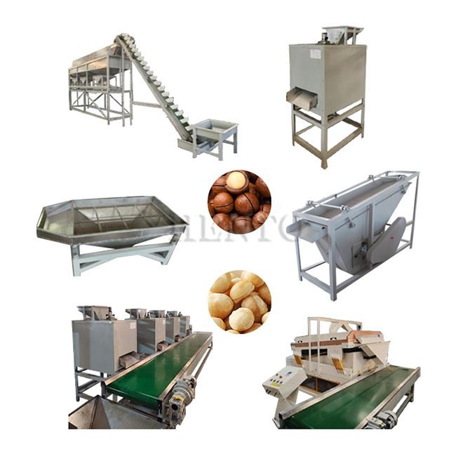Almond Shelling Production Line