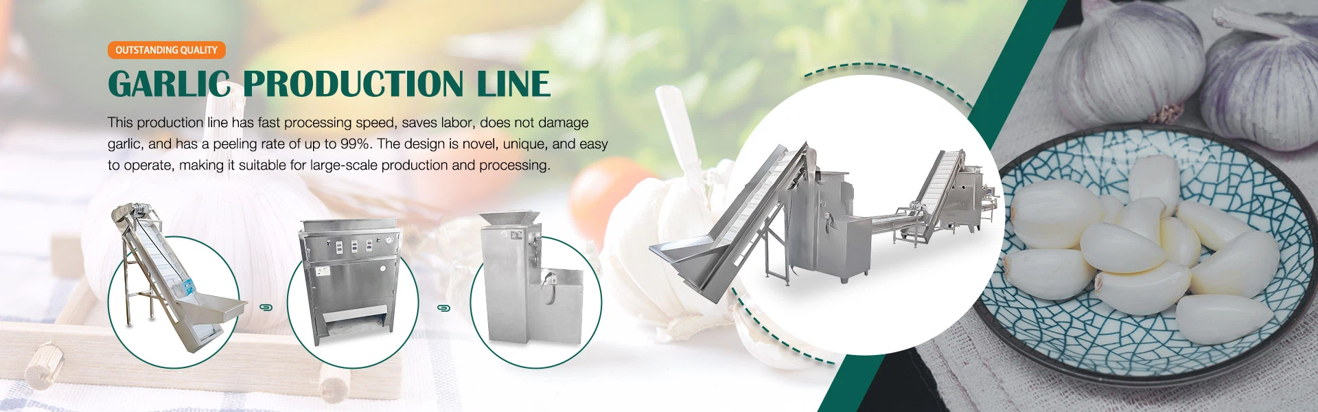 Garlic Peeled Production Line