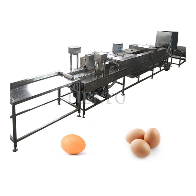 Industrial Egg Washing and Drying Machines