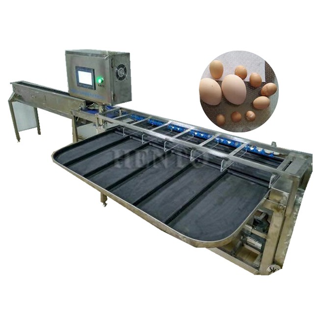 Egg Grading Equipment