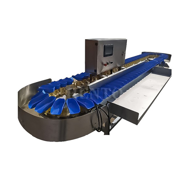 Seafood Scallop Weight Sorting Machine