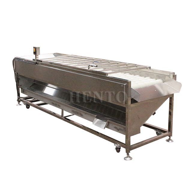 Citrus Fruit Washing Line