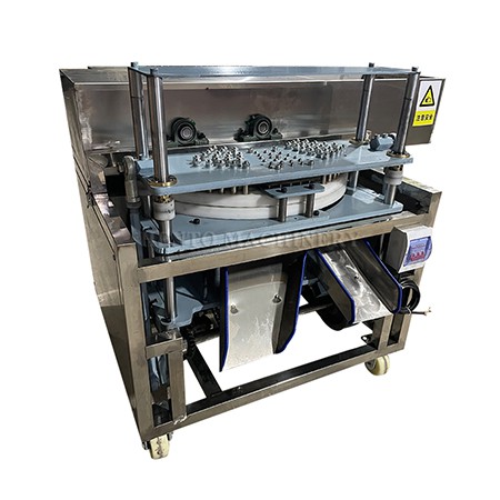 Industrial Jujube Nuclear Remover