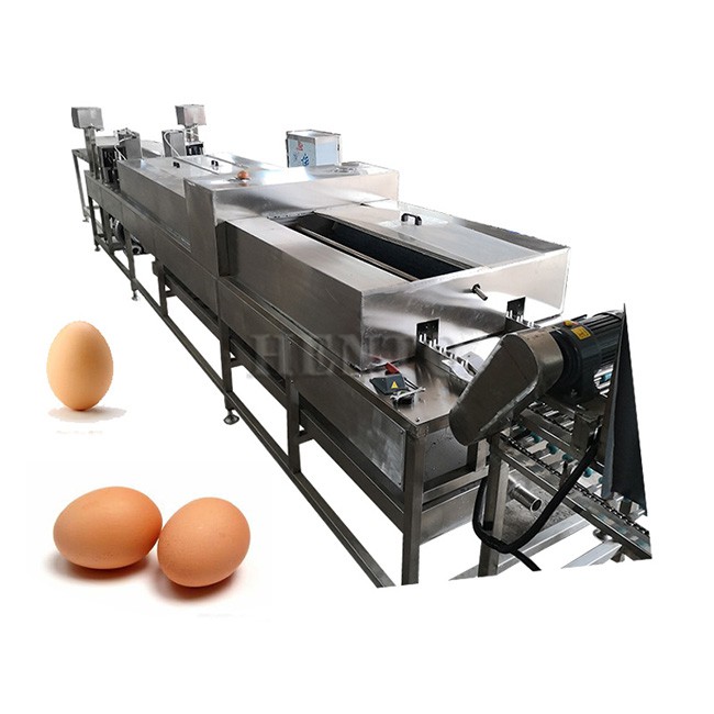 Egg Washing Machine