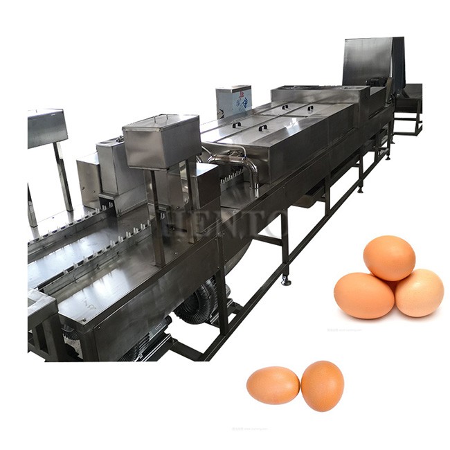 Egg Washing Drying Line