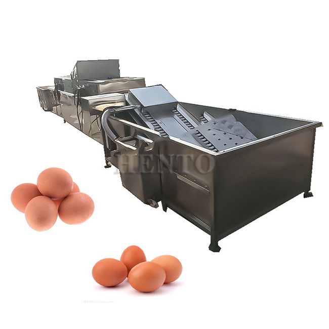Egg Brush Washer Machine with Dryer