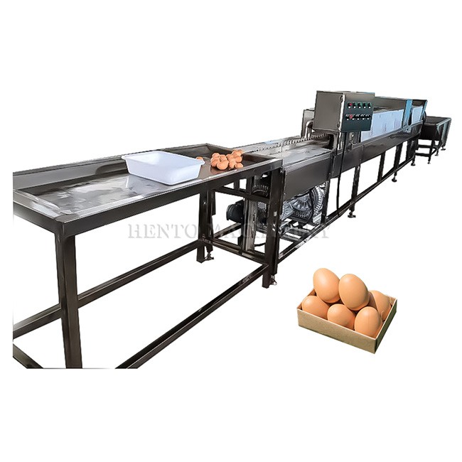 Egg Washing and Drying Production Line