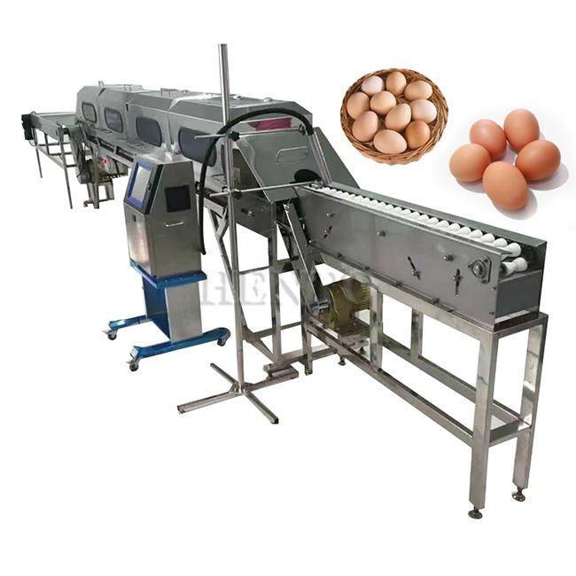 Egg Grading Equipment