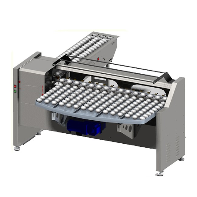 Egg Grader Machine