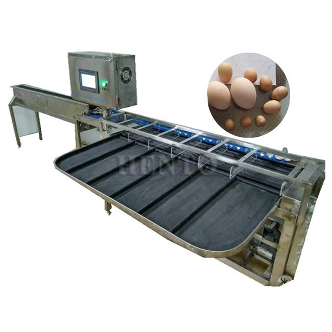 Egg Grading Equipment
